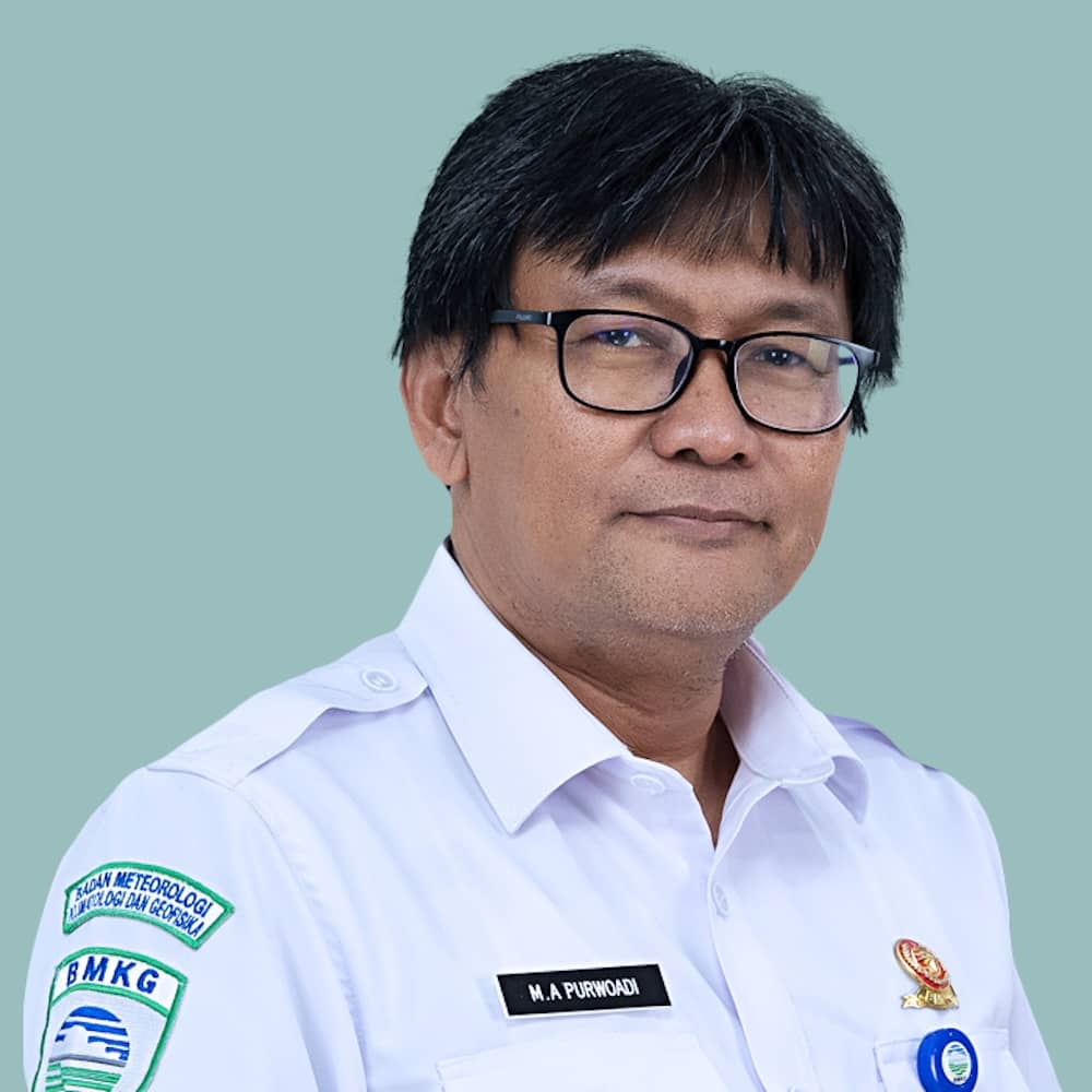Dr. Ing. Michael Andreas Purwoadi, DEA